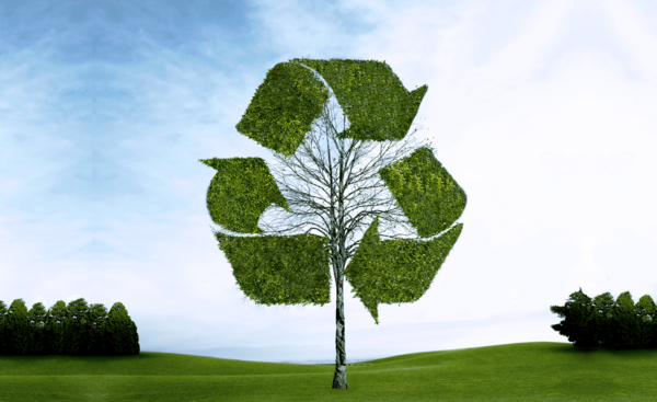 Tree with a recycling sign made of leaves