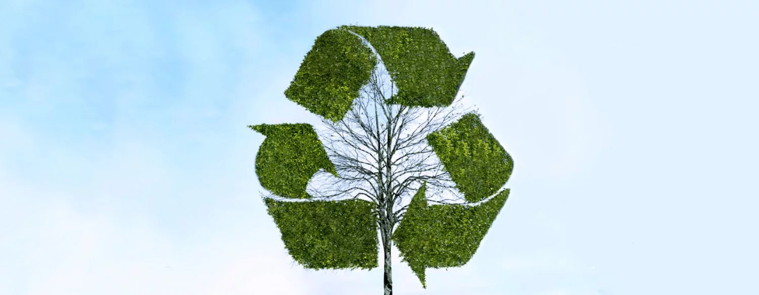 Recycling symbol made of tree leafs